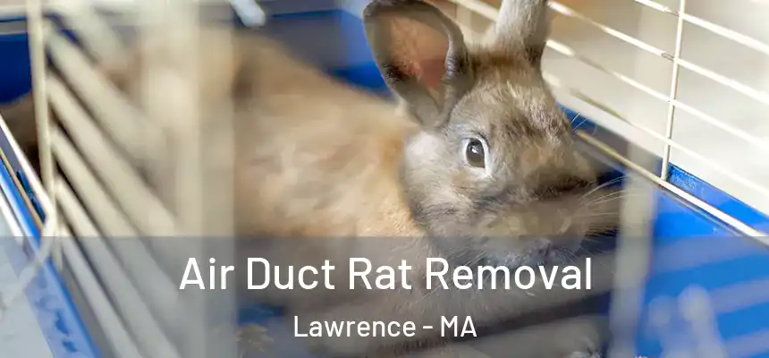 Air Duct Rat Removal Lawrence - MA
