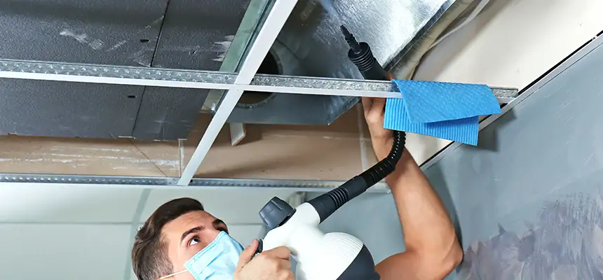 Our Air Duct Rodent Removal Services in Lawrence, MA