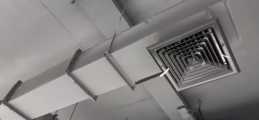 Our Rodent Droppings In Vents Services in Lawrence, MA