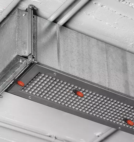 About Air Duct Cockroach Removal in Lawrence, MA