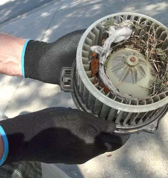 About Air Duct Rat Removal in Lawrence, MA