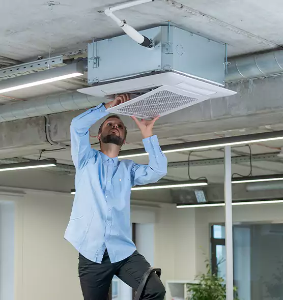 Advanced Rodent Droppings In Vents in Lawrence, MA