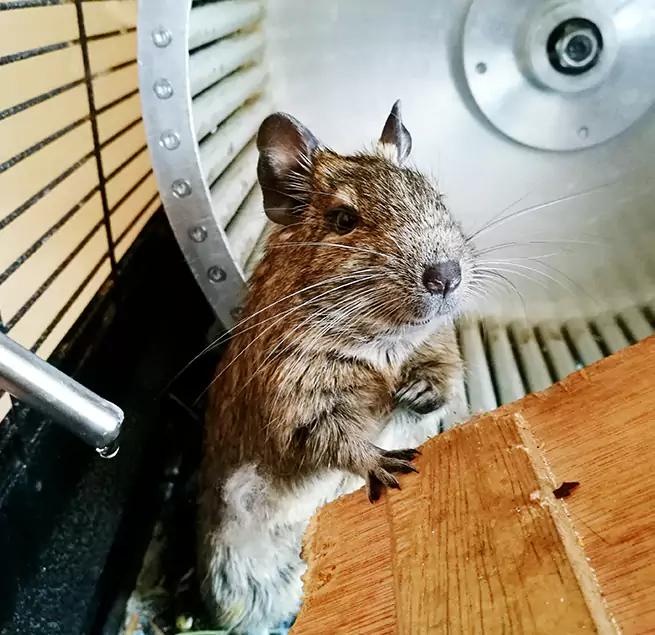 Why Homeowners & Businesses Trust Us Lawrence, MA?